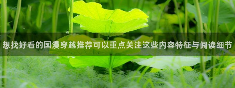 樱花日语片假名:想找好看的国漫穿越推荐可以重点关注这些内容特征与阅读细节