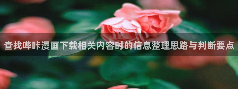 樱花日语阅读理解:查找哔咔漫画下载相关内容时的信息整理思路与判断要点